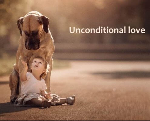 Little child looking up at a great dane with loving eyes