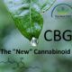 CBG das neue Cannabinoid