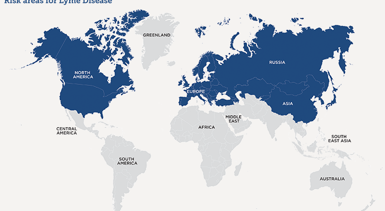 World map in blue and grey
