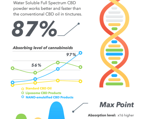 CBD powder test results Infographic