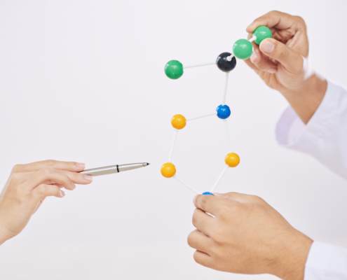 Scientists hand explaining, a plastic module of molecules