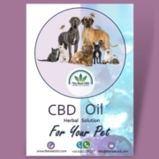 cbd oil for your pet flyer