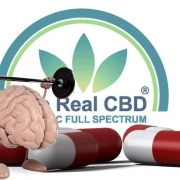 A cartoon brain lifting weights in front of The Real CBD logo, Big capsules in the background