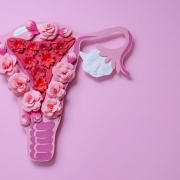 A uterus made in pink paper with pink flowers