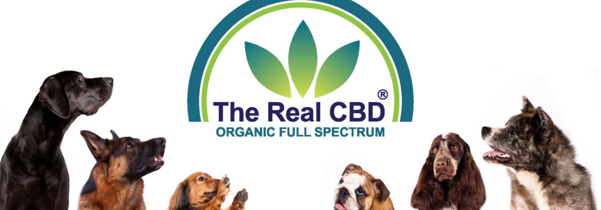 Dog line-up with The Real CBD logo