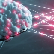 Blue and pink brain with electricity running through