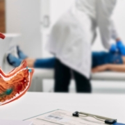 Stomach model on table with a doctor examining a woman on an examination bed