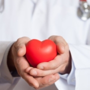 Médecin tenant un cœur en plastique rouge