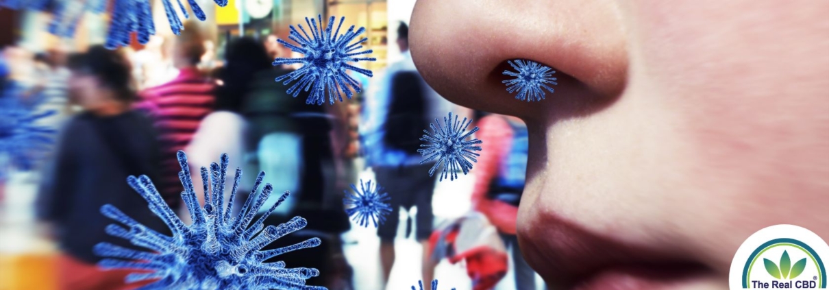 Blue viruses coming out of a nose