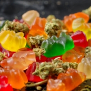Gummy Bears and dried hemp flowers in a mix