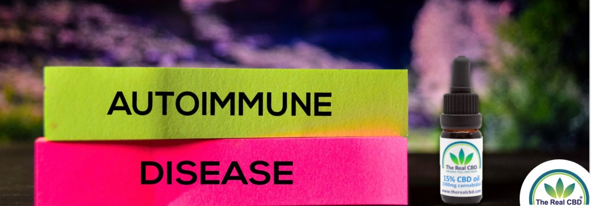 Neon paper with AUTOIMMUNE DISEASE words on