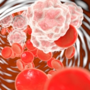 Red blood cells in a vain