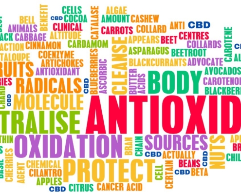 Antioxidative Wortsuppe