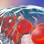 Transparent vain with red blood cells floating