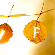 Autumn leaves with letters spelling LIFE hanging on a line