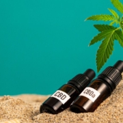 CBD and CBA oil bottles in the sand