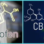 Fórmula química del CBD y el ibuprofeno