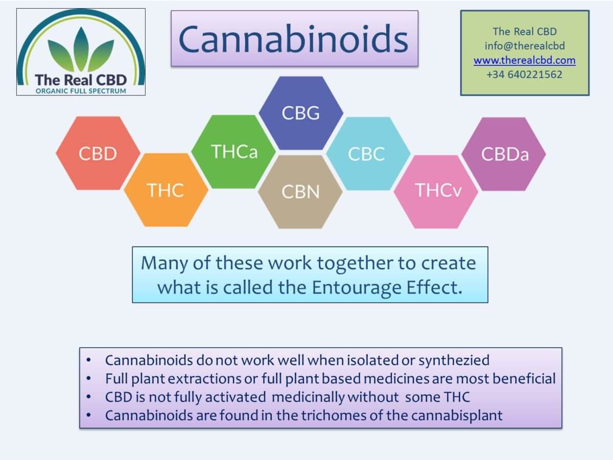 cannabinoïdes