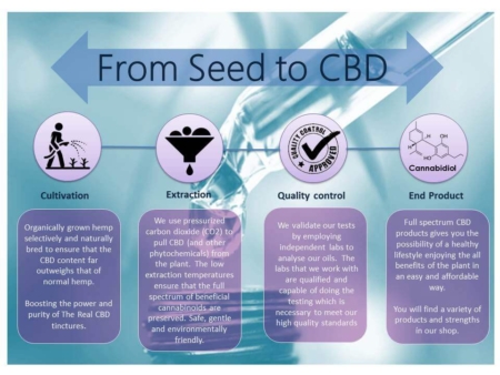 The Real CBD - Infographic Seed to CBD