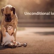 Little child looking up at a great dane with loving eyes