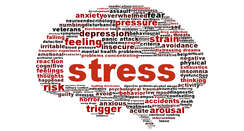 Stress and other words shaped as a brain