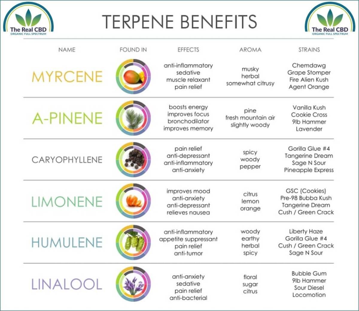 Tableau des terpènes