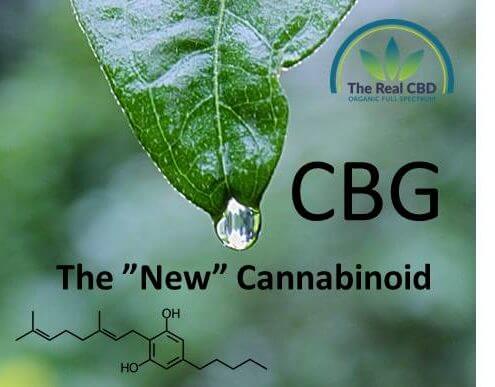 CBG the new cannabinoid