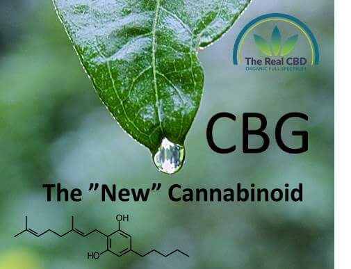 Le CBG, le nouveau cannabinoïde