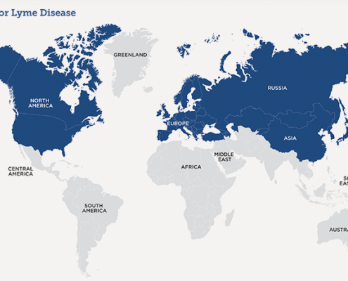 Carte du monde en bleu et gris