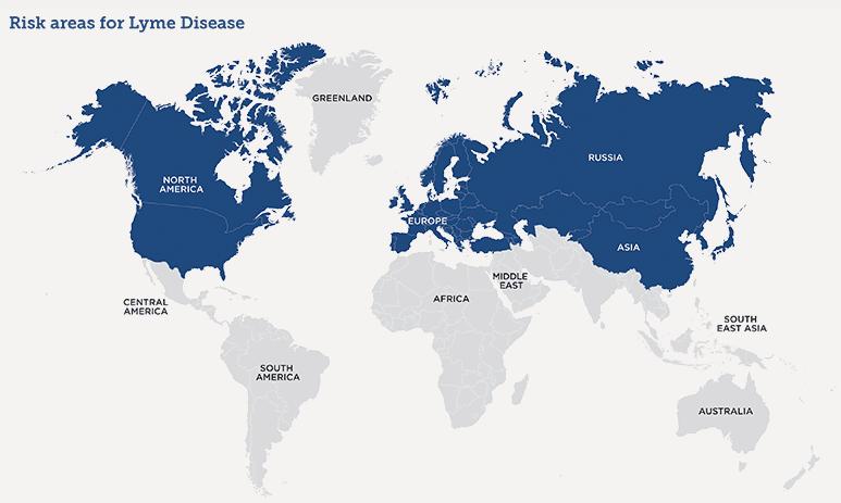 World map in blue and grey