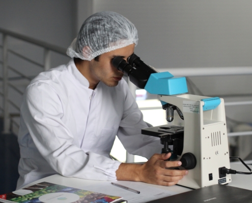 Scientist looking into a microscope