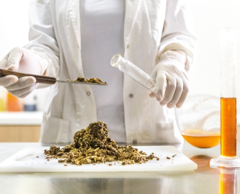 Scientist putting hemp biomass into a tube