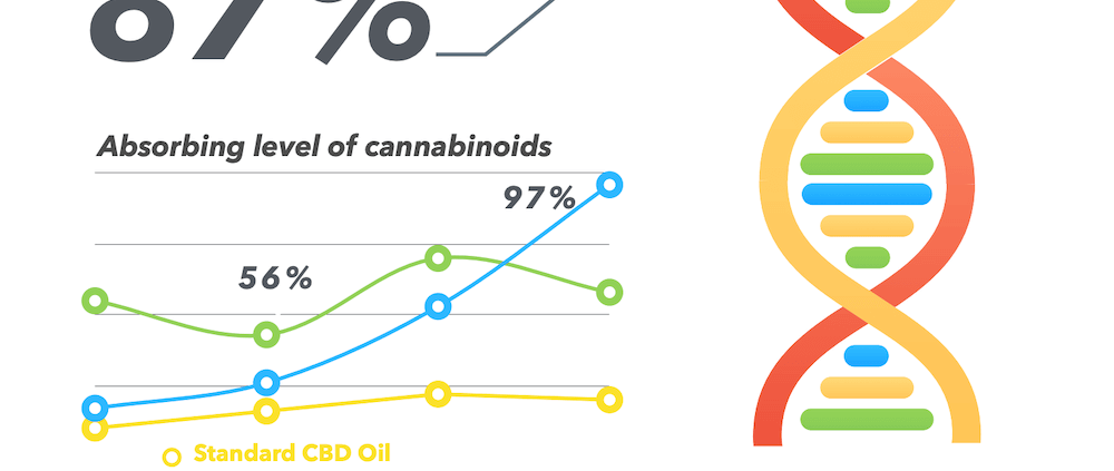 CBD-Pulvertestergebnisse Infografik