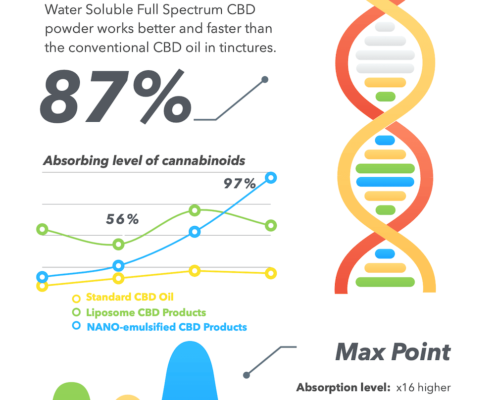 Résultats des tests sur la poudre de CBD Infographie