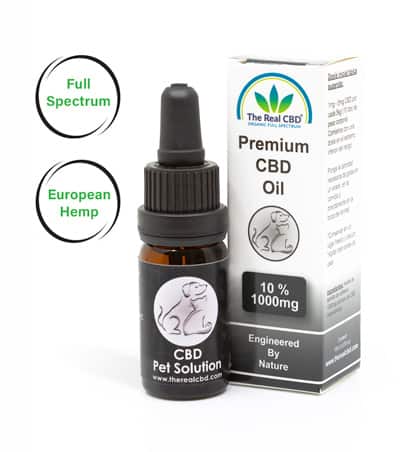 10% Huile de CBD pour animaux de compagnie