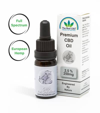 2.5% Huile de CBD pour animaux de compagnie