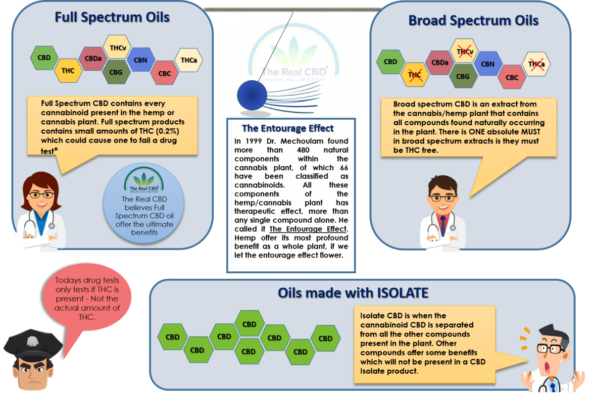 L'huile de cocaïne réelle - Infographie - Spectre complet de l'huile de cocaïne