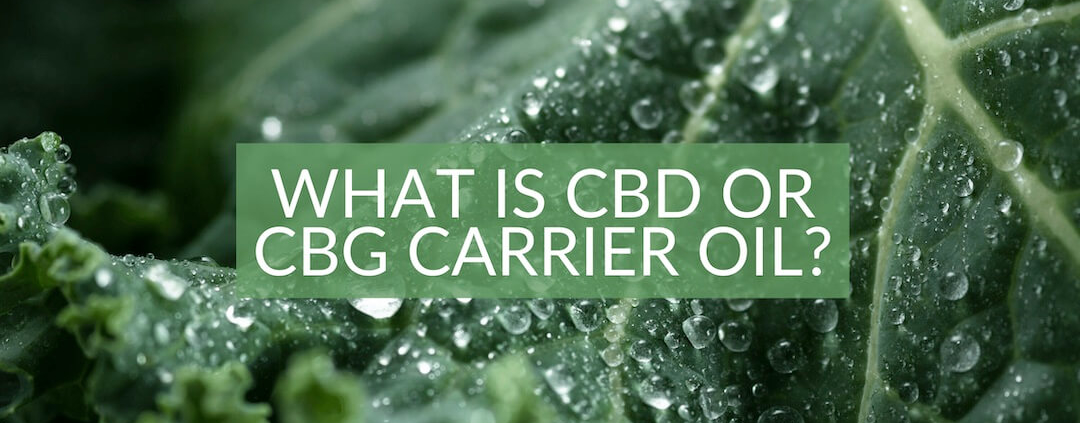 What is CBD or CBG carrier oil The Real CBD