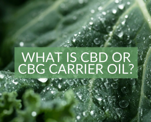 Was ist CBD oder CBG Trägeröl The Real CBD