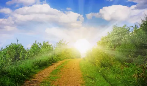 Lever de soleil sur un chemin vert