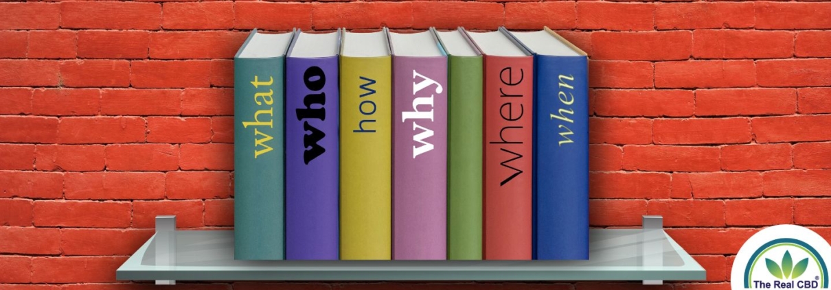 Shelf on red brick wall with line-up of books with questions as titles