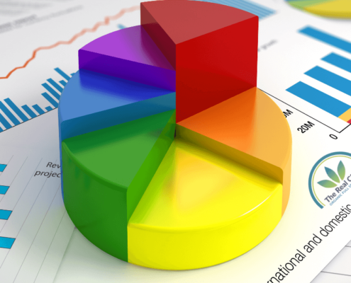 Graphique statistique pour l'enquête The Real CBD