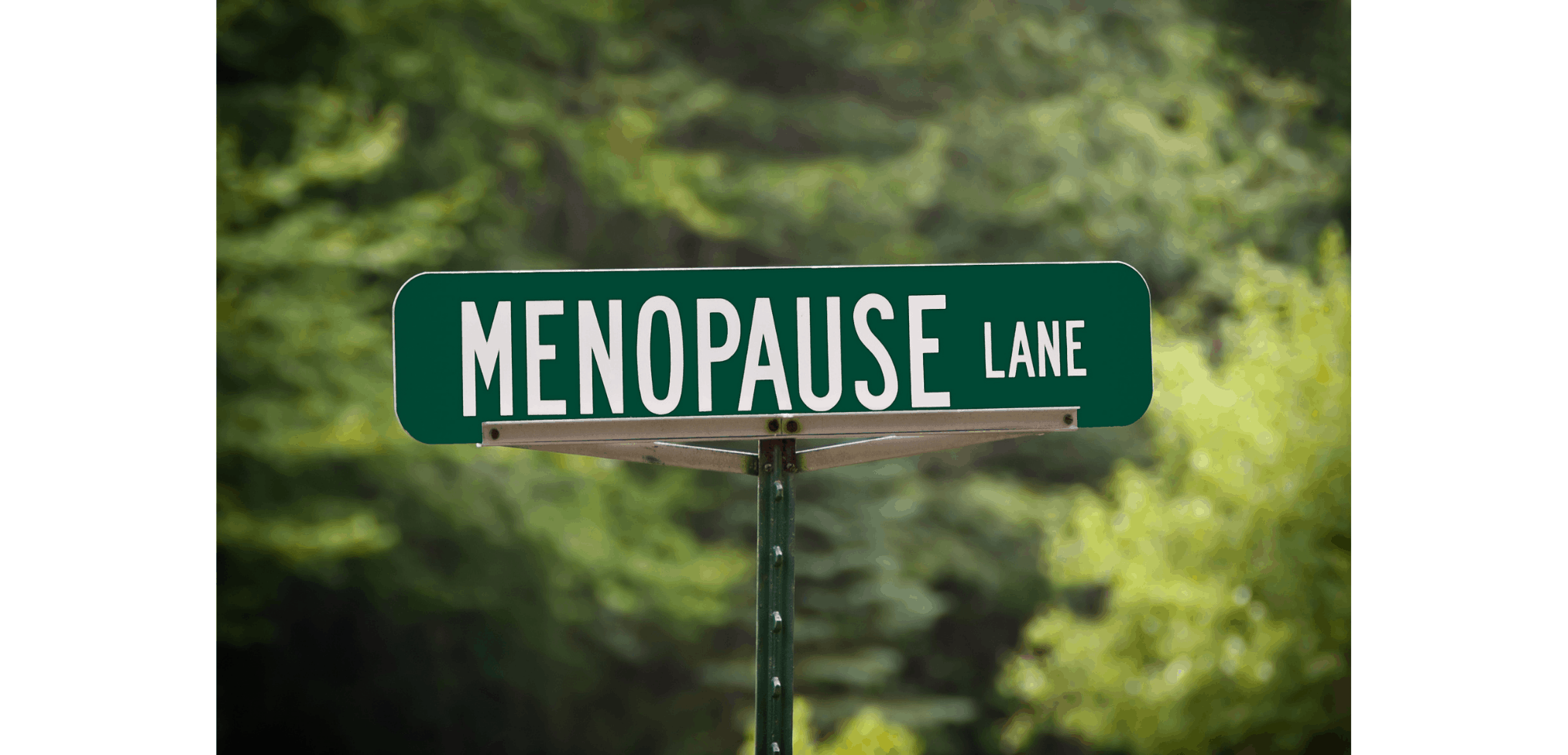 Menopause Lane Straßenschild in einem Wald