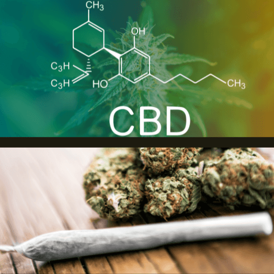 The-Real-CBD-Blog-CBD-ist-nicht-das-Gleiche-wie-Cannabis