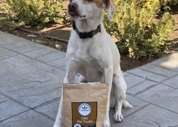 Dog with The Real CBD treats