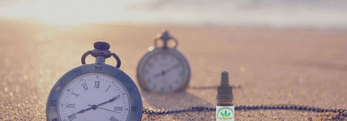 Stopwatches in sand by the seashore