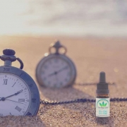 Stopwatches in sand by the seashore