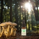 Champignons médicinaux et CBD