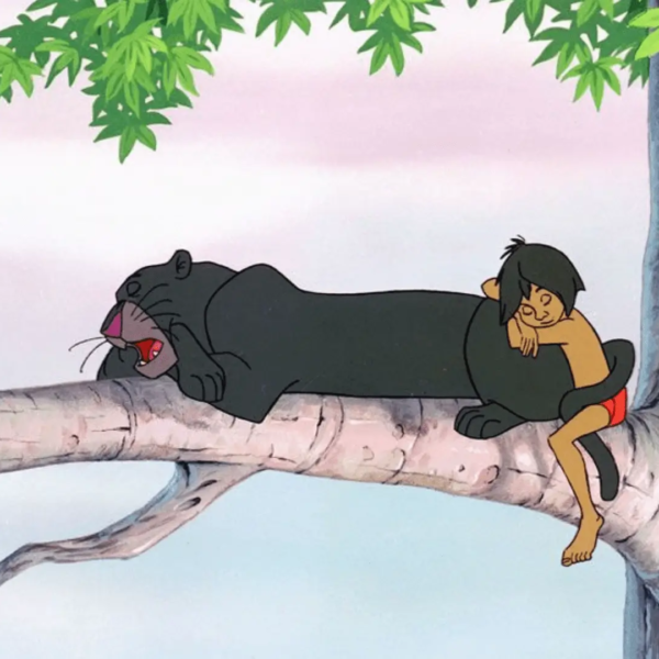 Mowgli and Bagh era seeping in a tree