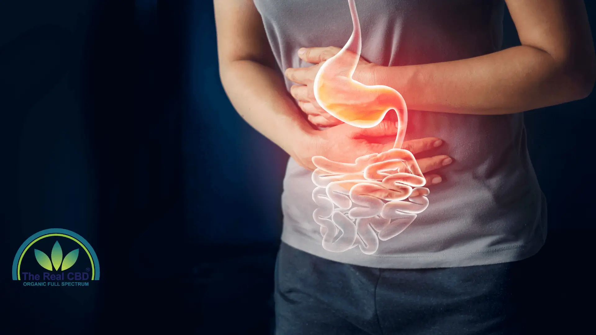 Man holding his stomach with intestines in red